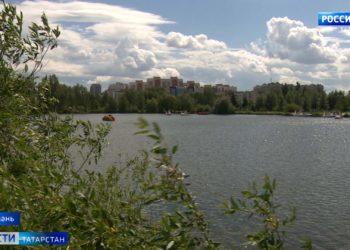 Биологи предупредили о возможном нашествии комаров после холодного мая