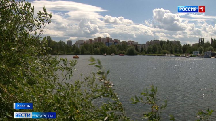 Биологи предупредили о возможном нашествии комаров после холодного мая