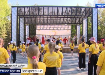 «Отдых сродни курорту»: как не ошибиться с выбором летнего лагеря для ребенка