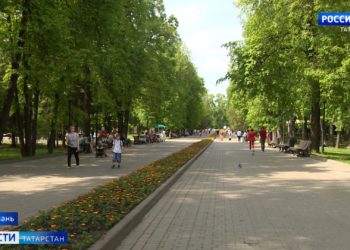 Компенсация за холодную весну: синоптики обещают татарстанцам «медовое» лето