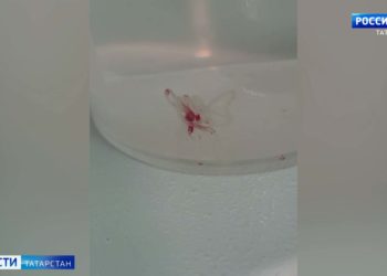 Более сотни человек было задействовано при ликвидации пожара на складе в Челнах