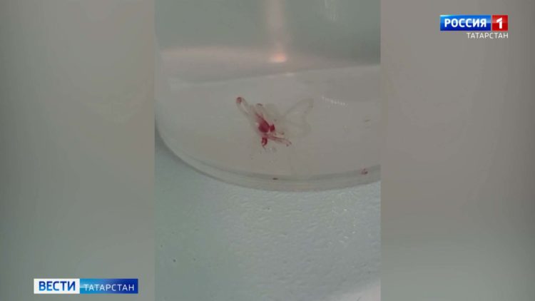 Более сотни человек было задействовано при ликвидации пожара на складе в Челнах