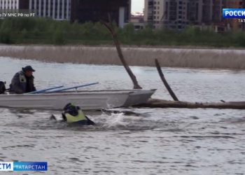 В Казанском Кремле впервые вручили медали «Родительская доблесть»