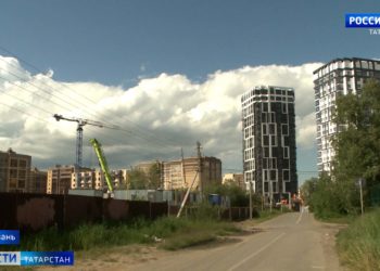 Биологи предупредили о возможном нашествии комаров после холодного мая