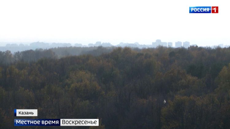 Экологи выяснили, как за 30 лет в Казани изменился воздух