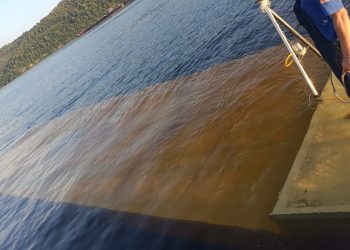 В МЧС рассказали о первых результатах водолазных работ на месте крушения теплохода на Волге