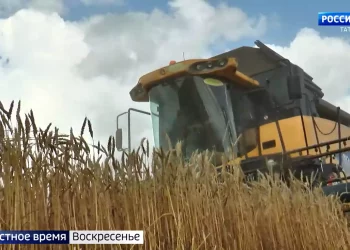 «Здесь все было завалено»: казанцы жалуются на мусорный коллапс в пригороде