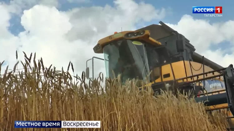 «Здесь все было завалено»: казанцы жалуются на мусорный коллапс в пригороде