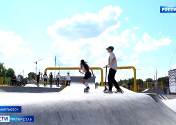 В Челнах пасечник спас от пчел посетителей торгового центра