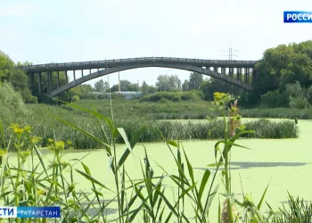 Синоптики: в Татарстан пришла аномальная жара и это только начало