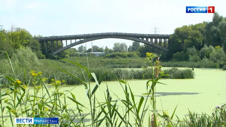 Синоптики: в Татарстан пришла аномальная жара и это только начало