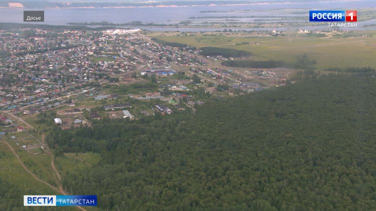 В Татарстане из-за опасности лесных пожаров объявлено штормовое предупреждение