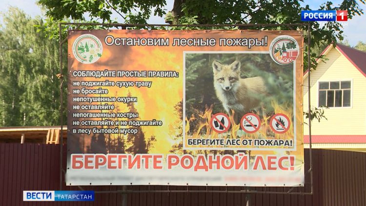 «Это страшная болезнь, я не ожидал»: в Татарстане участились случаи заражения мышиной лихорадкой