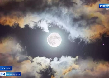 Меньше чем за сутки в водоемах Татарстана утонули пять человек