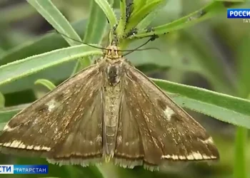 В Казани работы по реконструкции дорог в рамках нацпроекта выполнены на 69%