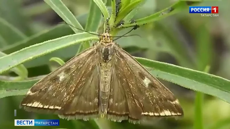 В Казани работы по реконструкции дорог в рамках нацпроекта выполнены на 69%