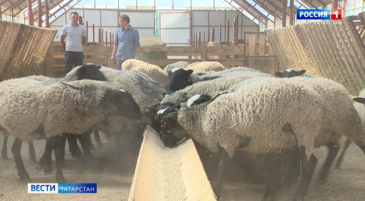 В Челнах пасечник спас от пчел посетителей торгового центра