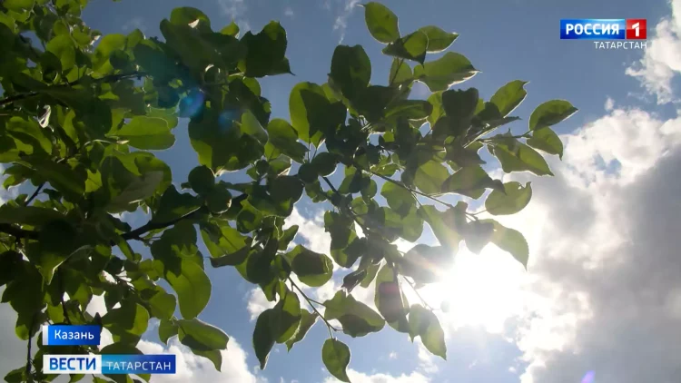 Минниханов и Патрушев ознакомились с новыми разработками на «Агроволге»