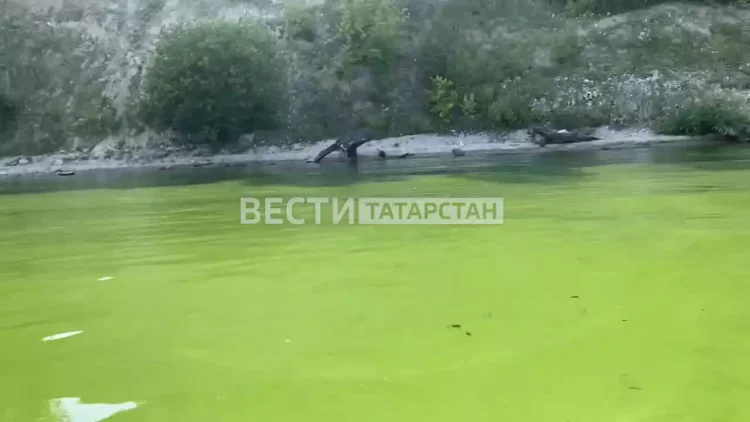 В Татарстане Волга окрасилась в зеленый цвет