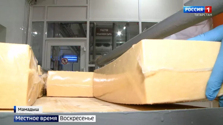 Искать пути объезда: строительство Вознесенского тракта разрастается