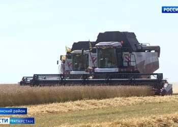 «Славим человека труда»: буинские земледельцы