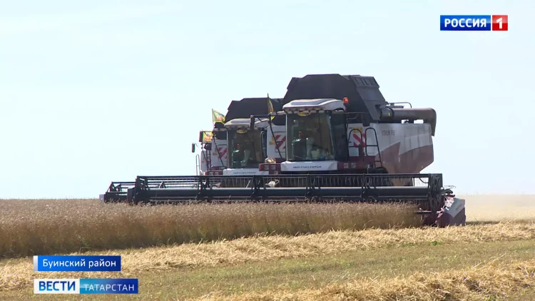 «Славим человека труда»: буинские земледельцы