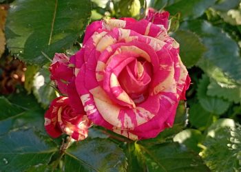 Утро на радио (02.08.22)