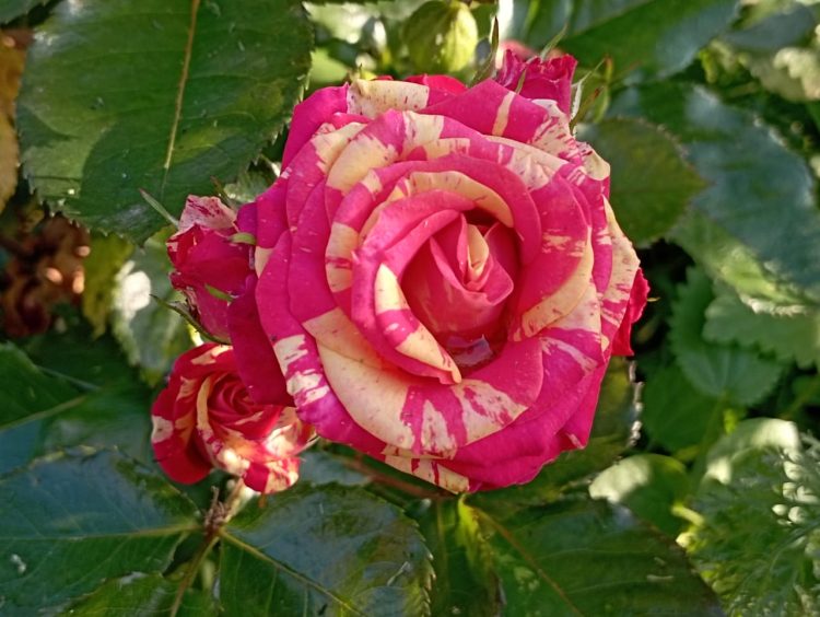 Утро на радио (02.08.22)