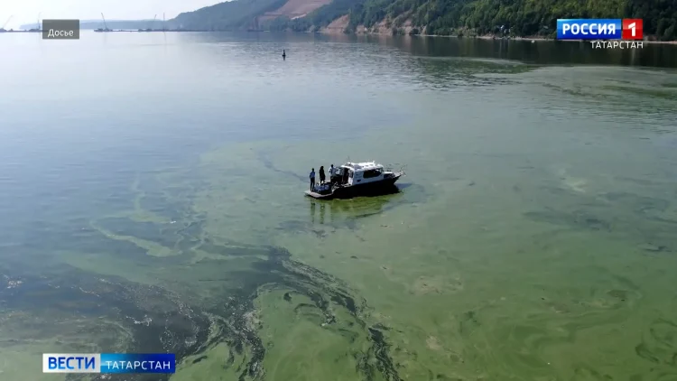 Упавшему с 9 этажа в Челнах мальчику сделали операцию в ДРКБ