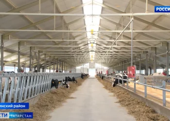 В Буинском районе открыли современную молочную ферму