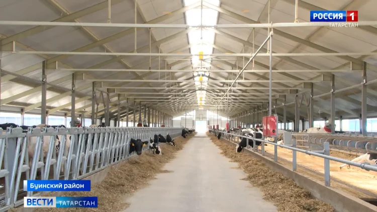 В Буинском районе открыли современную молочную ферму