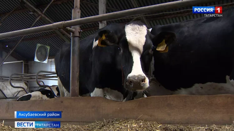 Минниханов ознакомился с ходом уборки в трех районах Татарстана