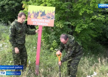 В Татарстане начнут производить компьютеры, видеокарты и серверы
