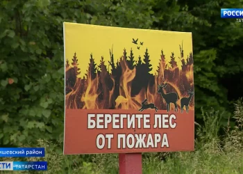 В лесах Татарстана ожидают критический уровень пожарной опасности
