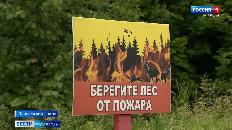 В лесах Татарстана ожидают критический уровень пожарной опасности