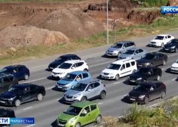 В Татарстане зафиксировали новые очаги африканской чумы свиней