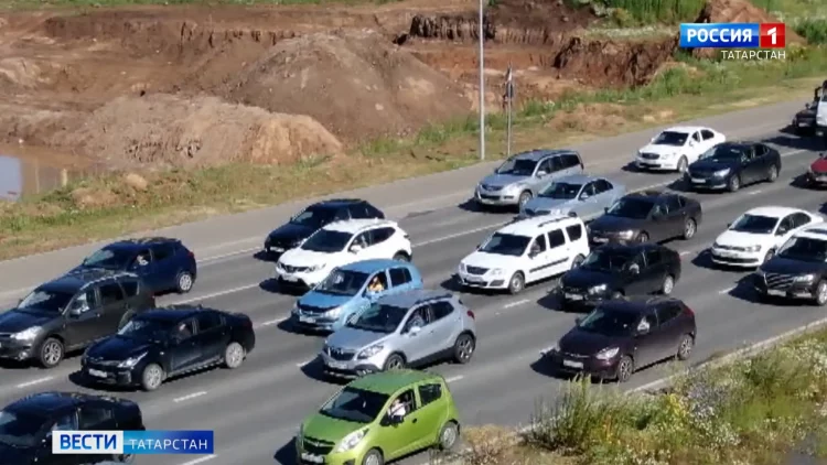 В Татарстане зафиксировали новые очаги африканской чумы свиней