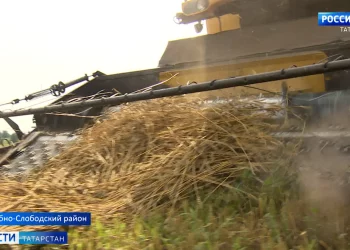 Аграрии Татарстана приближаются ко второму миллиону тонн зерна