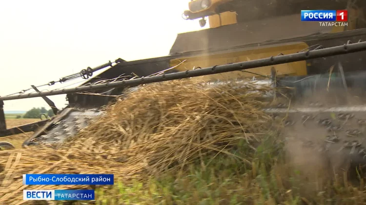 Аграрии Татарстана приближаются ко второму миллиону тонн зерна