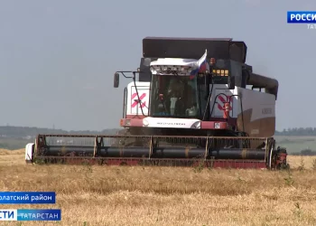 Жительница дома по улице Моторная в Казани вынуждена жить в полусгнившей квартире