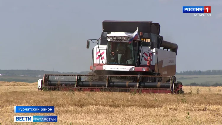 Жительница дома по улице Моторная в Казани вынуждена жить в полусгнившей квартире