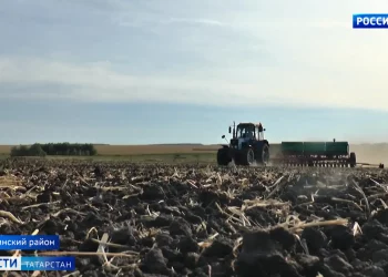 В Татарстане установилась атмосферная засуха