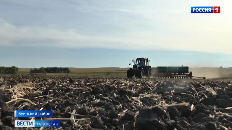 В Татарстане установилась атмосферная засуха