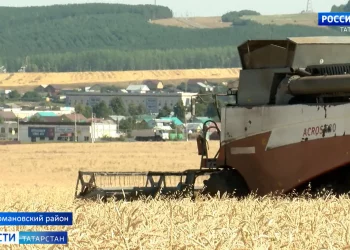 В Мамадышском районе открылась мусороперегрузочная станция