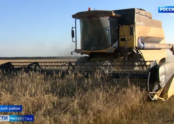 Земледельцы Арского района уже получили с полей 70 тысяч тонн зерна