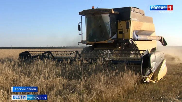 Земледельцы Арского района уже получили с полей 70 тысяч тонн зерна