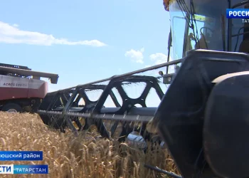 Сотрудники ФСБ выяснили, что житель Татарстана переводил деньги террористам