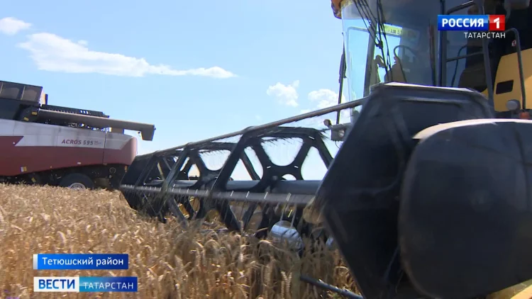 Сотрудники ФСБ выяснили, что житель Татарстана переводил деньги террористам