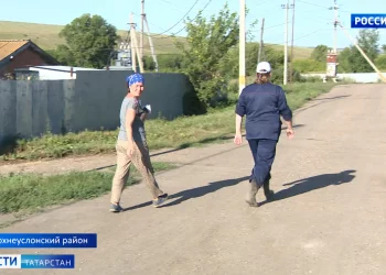 В Татарстане зафиксировали новые очаги африканской чумы свиней