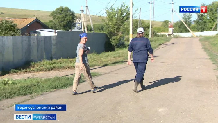 В Татарстане зафиксировали новые очаги африканской чумы свиней